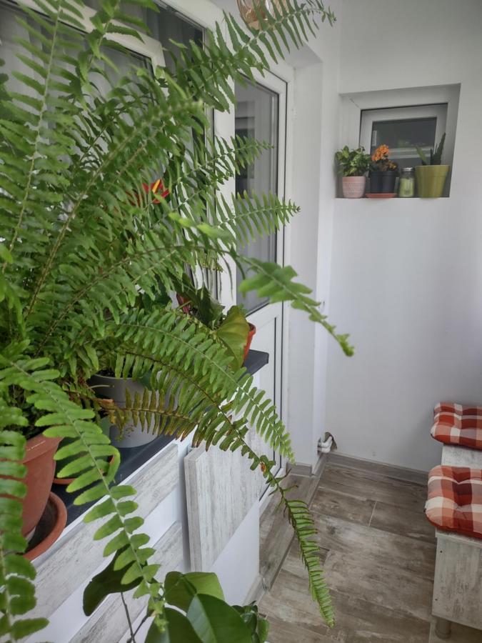 Apartament Piteşti Eksteriør billede